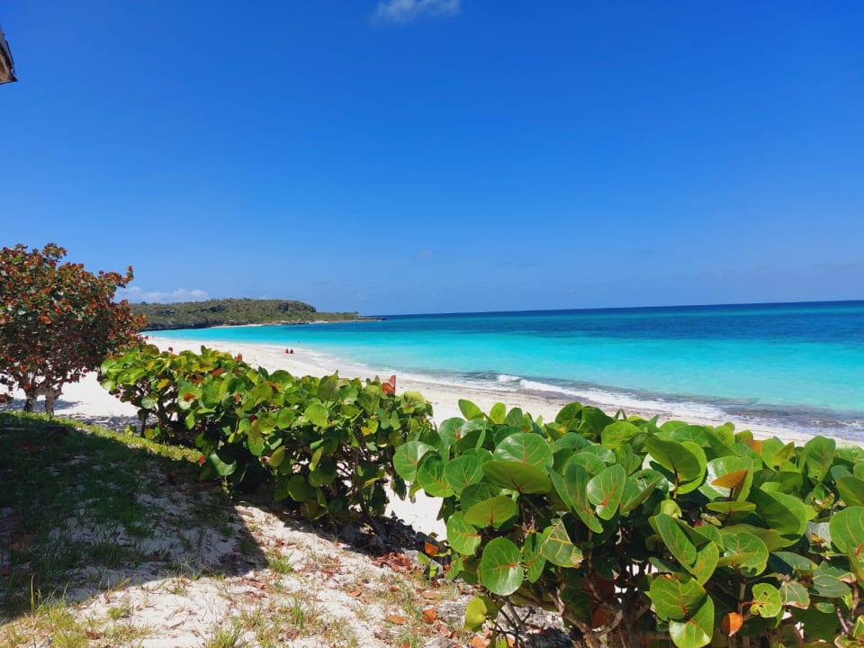 Strand Sol Rio De Luna y Mares