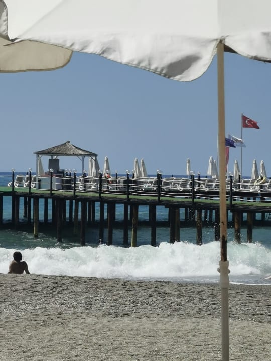 Strand Dizalya Palm Garden