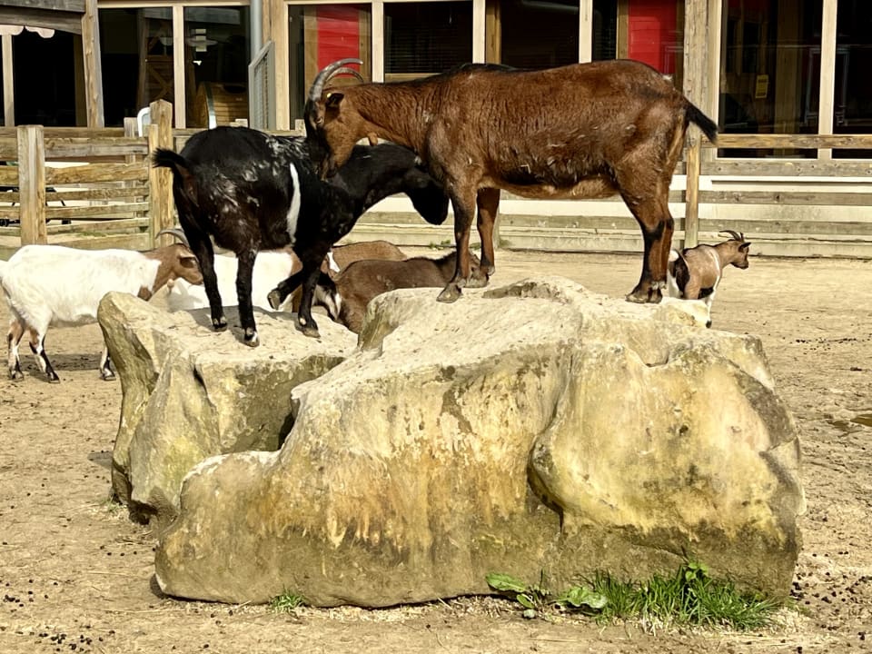 Sport & Freizeit Villages Nature Paris
