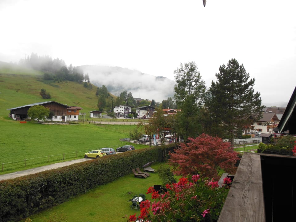 Ausblick leider neblig FLORA - Das kleine Gartenhotel