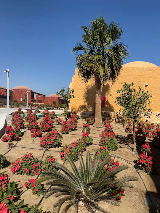 Gartenanlage Pickalbatros Villaggio Resort - Portofino