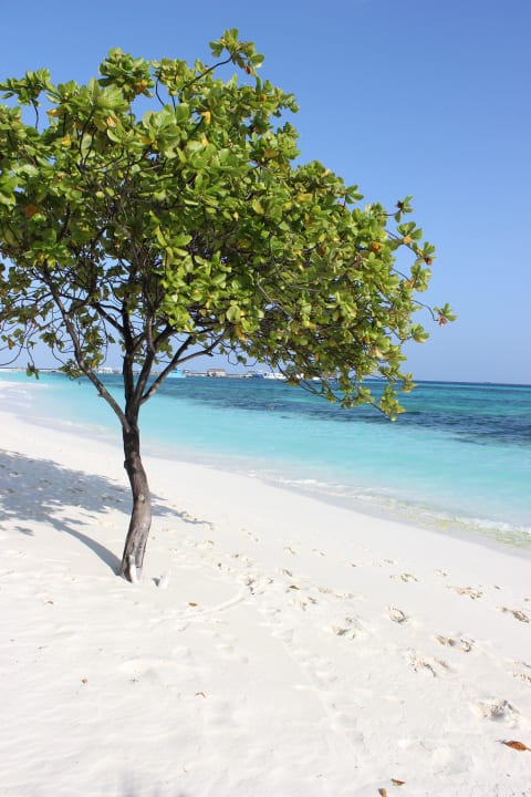 Strand Kuredu Island Resort & Spa