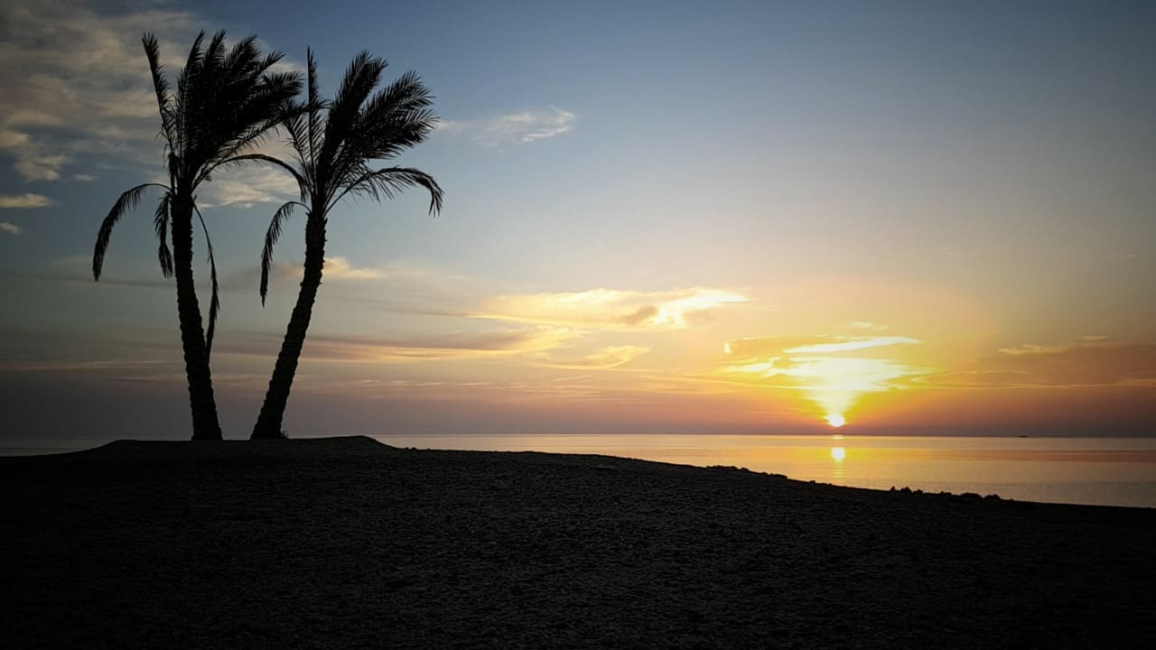 Strand Malikia Resort Abu Dabbab