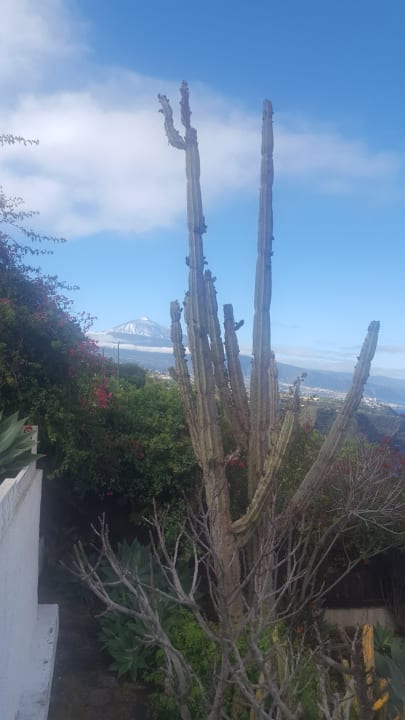 Außenansicht Jardin Mariposa Retreat- und Seminarzentrum