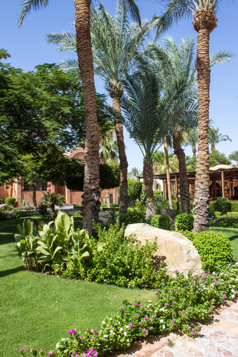 Gartenanlage Jaz Makadi Oasis Resort