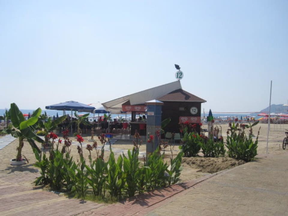 Strand &  Büffet Nr. 12 Tac Premier Hotel & Spa