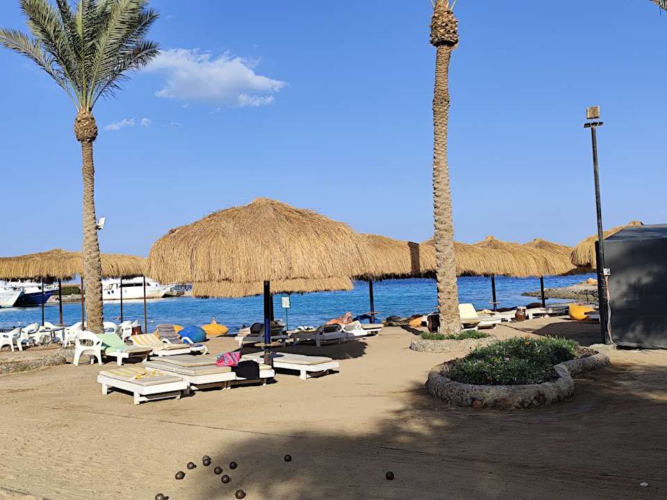 Strand Regina Resort and Aqua Park Hurghada