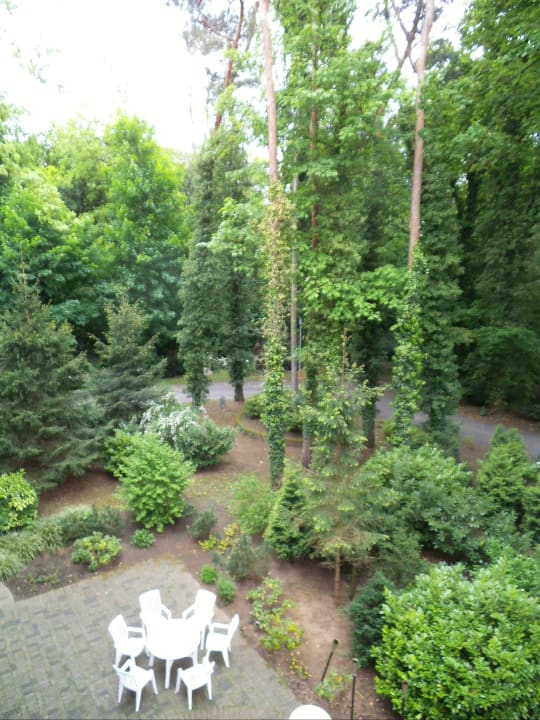 Aussicht  Waldhotel Tannenhäuschen