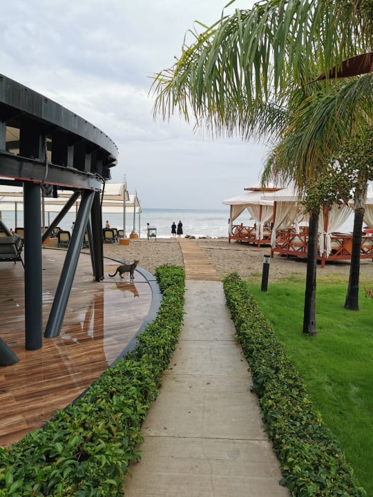 Strand Seven Seas Hotel Life