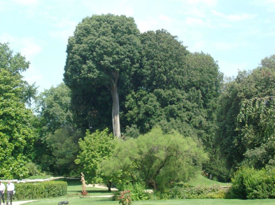 Garten  Hotel Four Seasons Florence