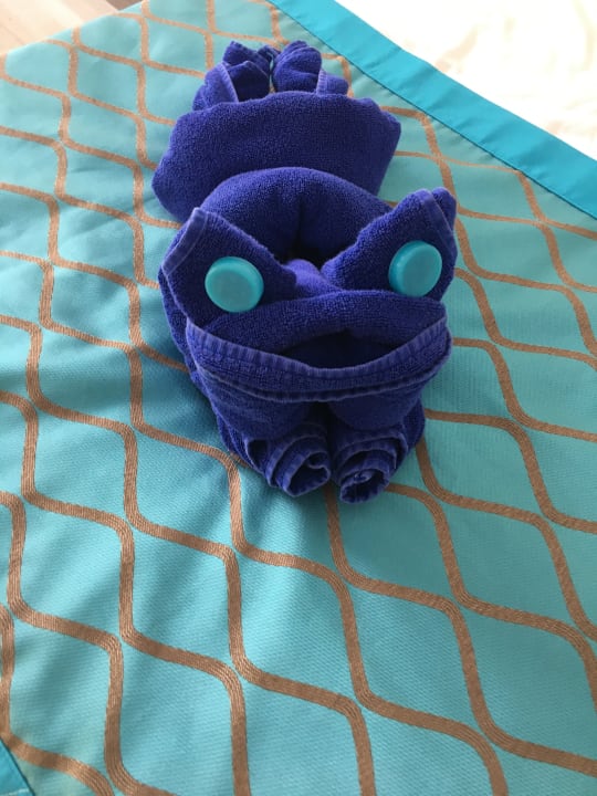 Zimmer Sentido Marea