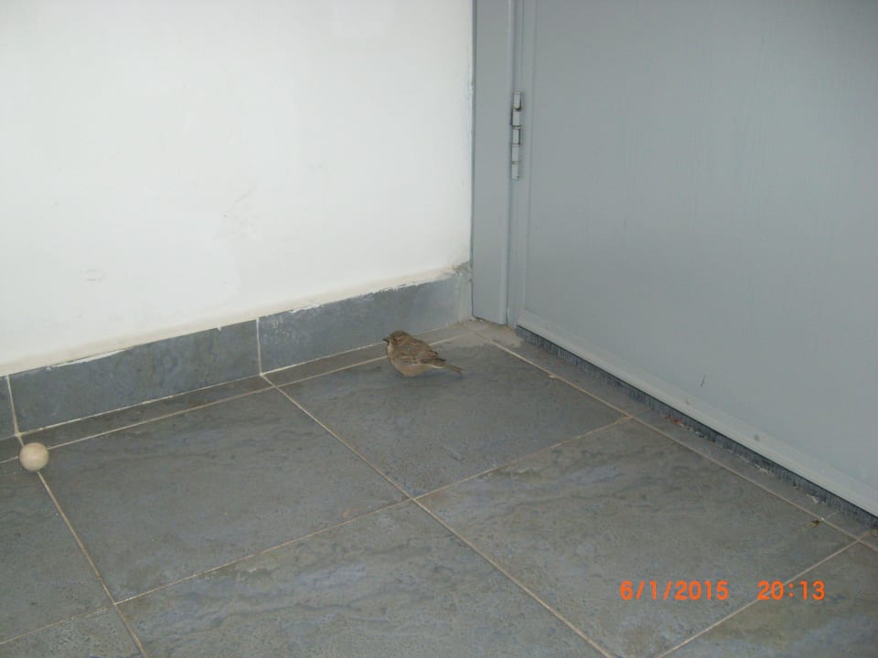 Hotel Lillyland Beach Mirage Bay Resort & Aqua Park