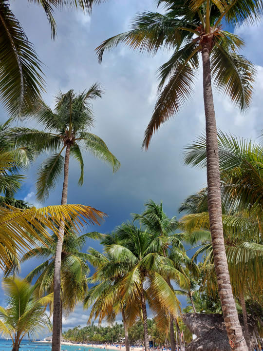 Strand Hotel Viva Dominicus Beach by Wyndham - All Inclusive Resort