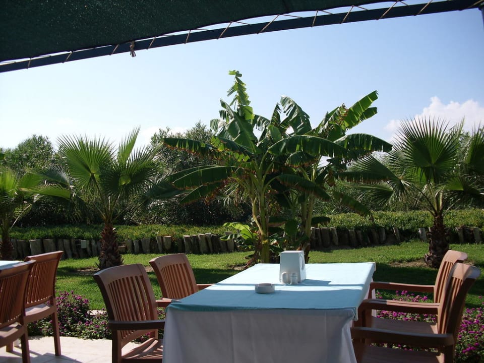 Strandbar VONRESORT Golden Beach