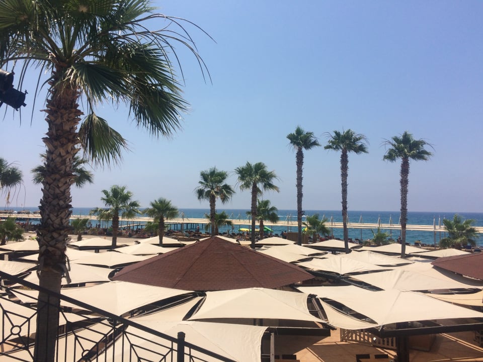 Ausblick TUI BLUE Palm Garden
