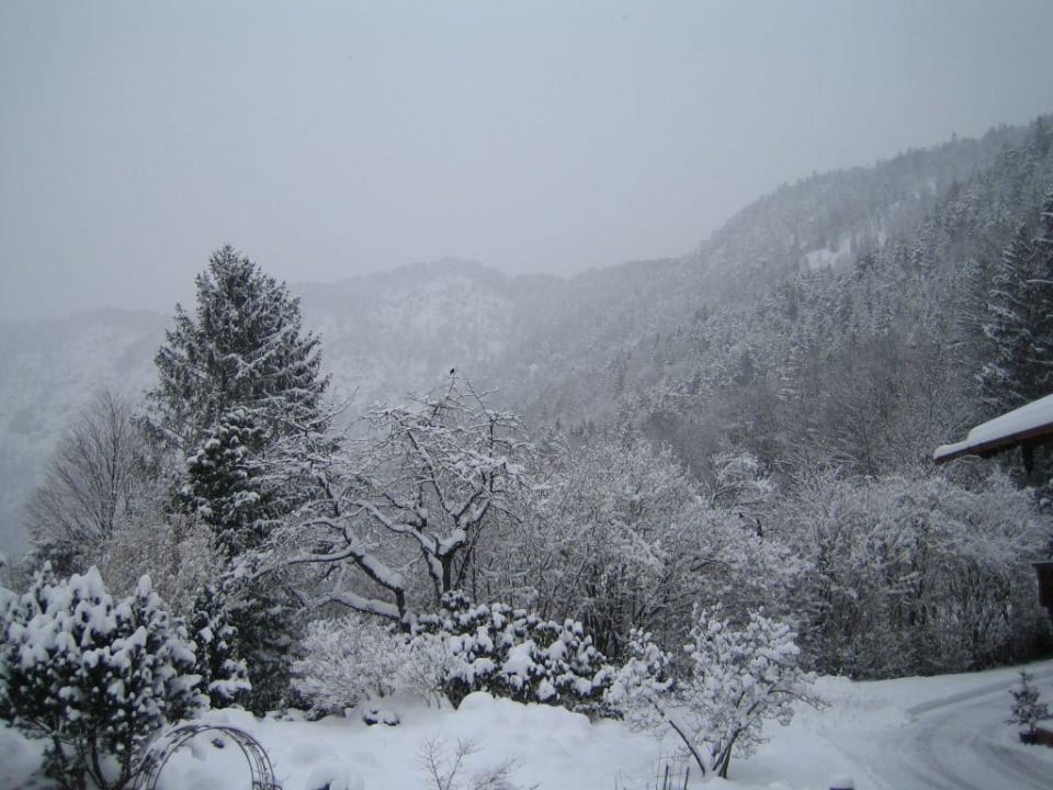 Aussicht Hotel Seeblick
