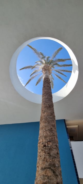 Gartenanlage R2 Pajara Beach