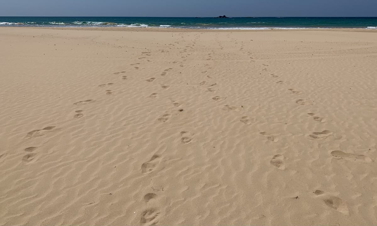 Strand Taj Bentota Resort & Spa