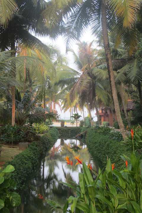 Schöne Pflanzen Hotel Lakesong Resort