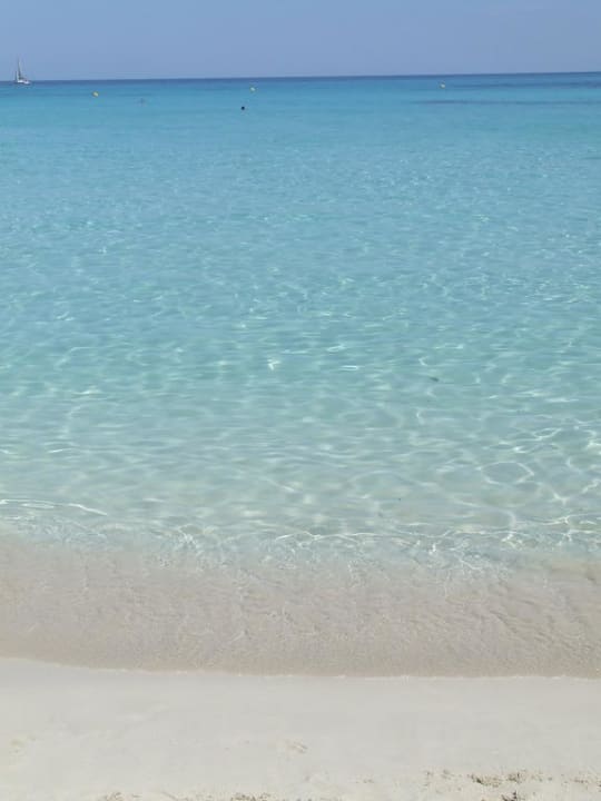 Strand von Punta Prima Comitas Isla Del Aire