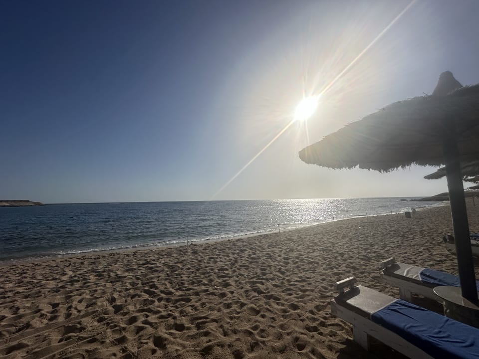 Strand Coral Sun Beach