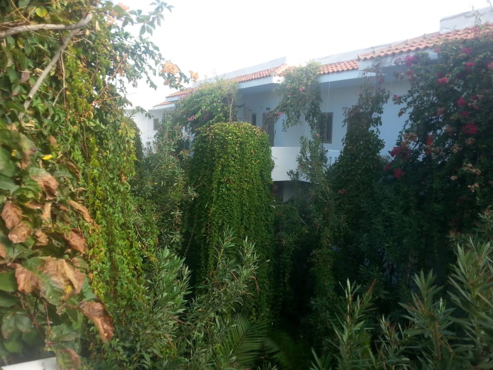 Innengarten Hotel Marinos Beach