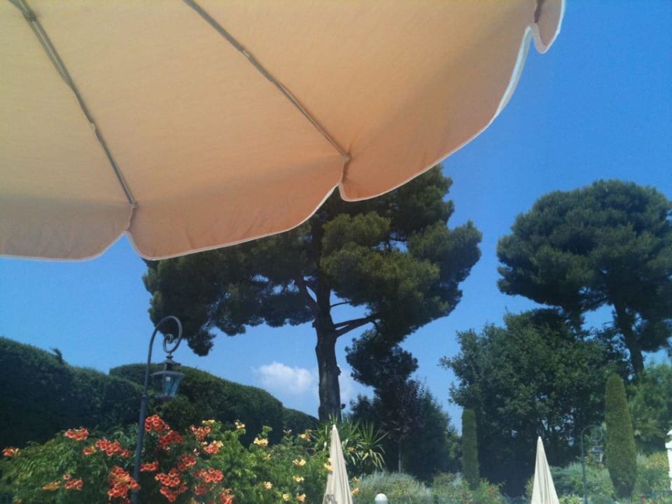 All Suites Resort & Spa All Suites Resort & Spa