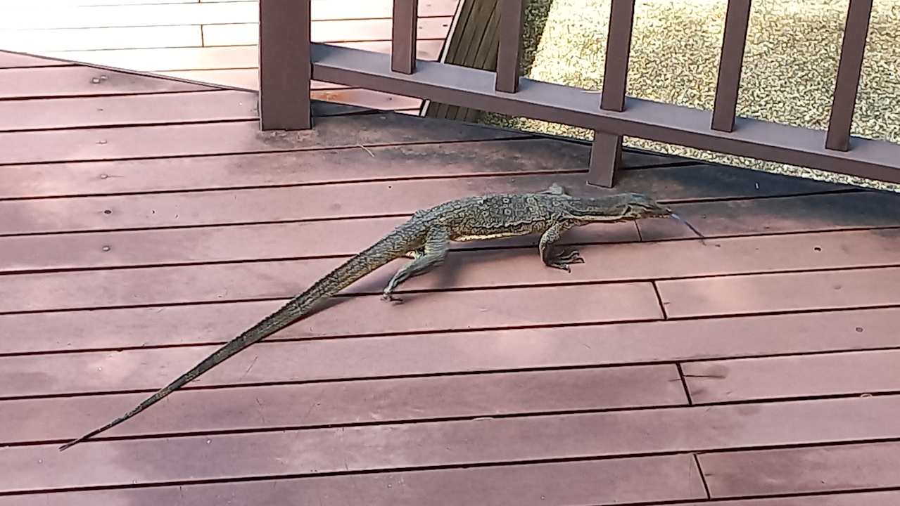 Außenansicht Khao Lak Merlin Resort