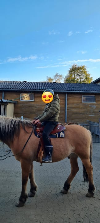 Sport & Freizeit Fränkischer Ferienhof Joas