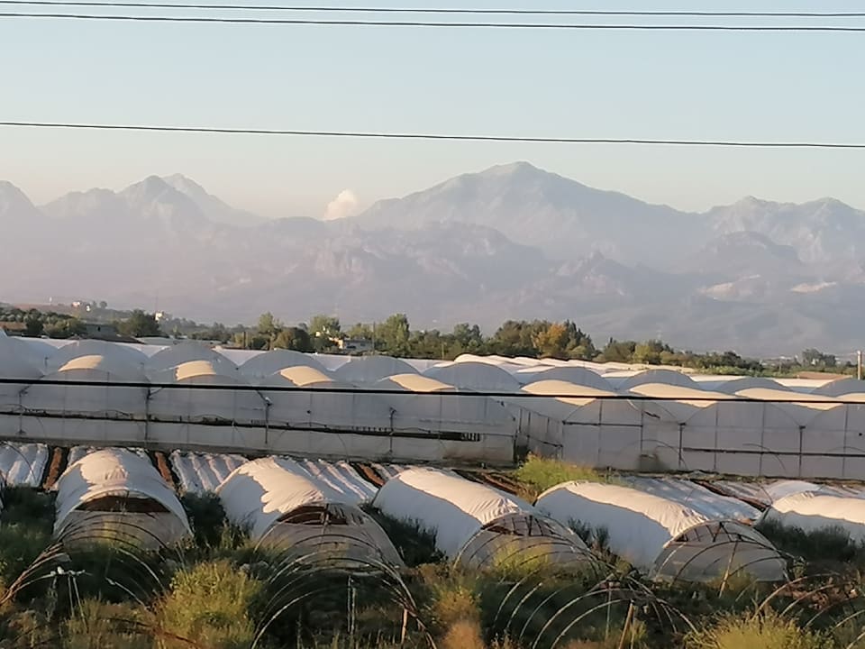 Ausblick Belek Diamonds Hotel