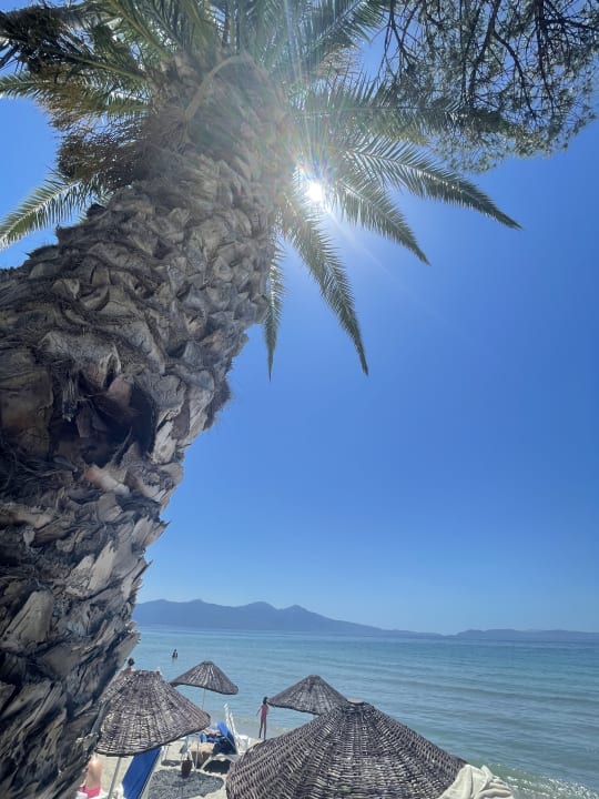 Ausblick Ephesia Holiday Beach Club