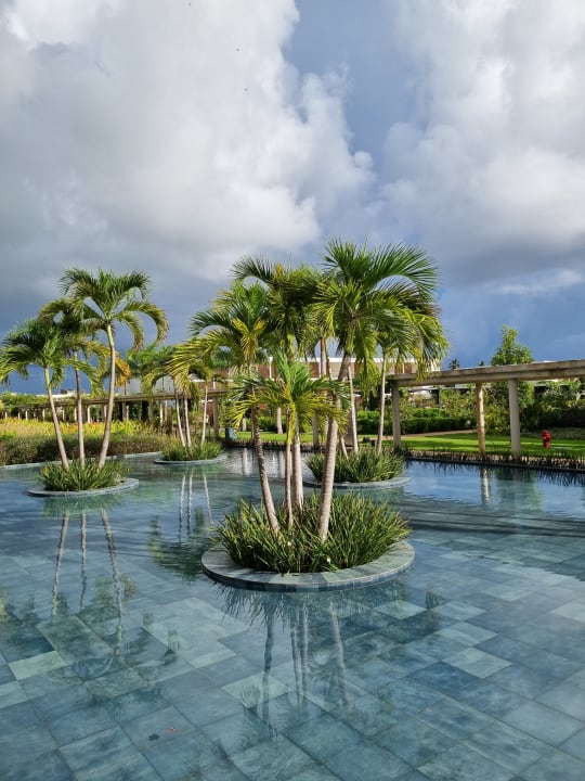 Pool Live Aqua Punta Cana - All Inclusive - Adults Only