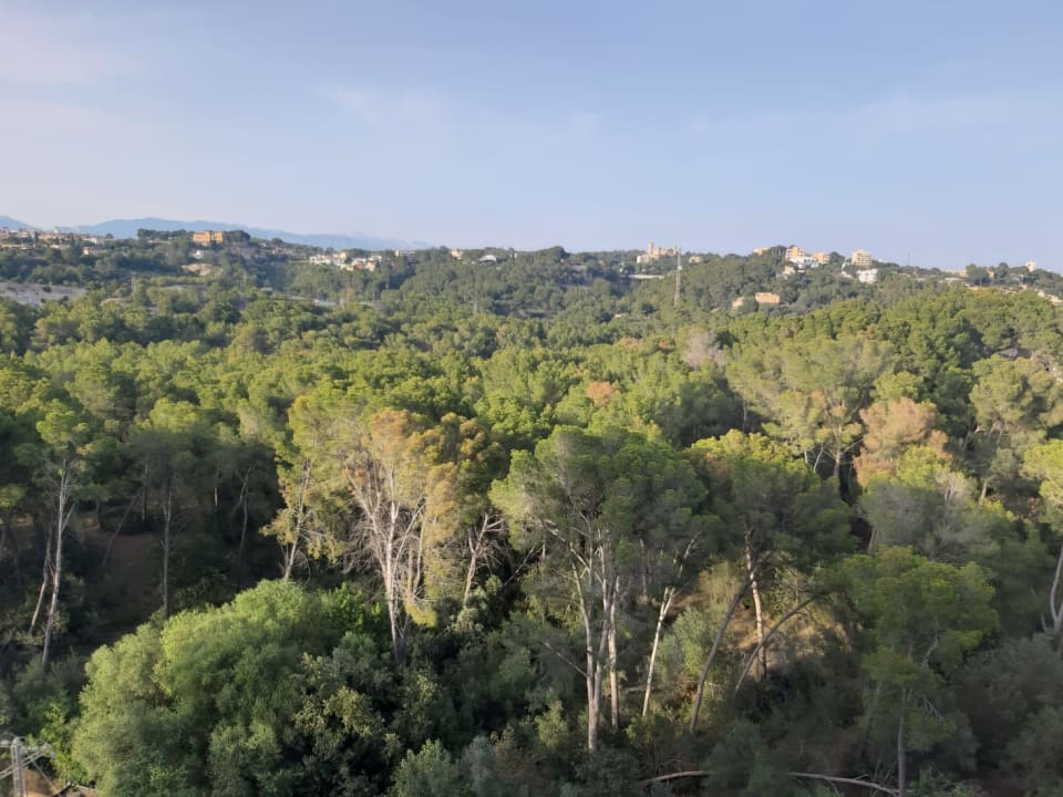 Ausblick BQ Belvedere Hotel