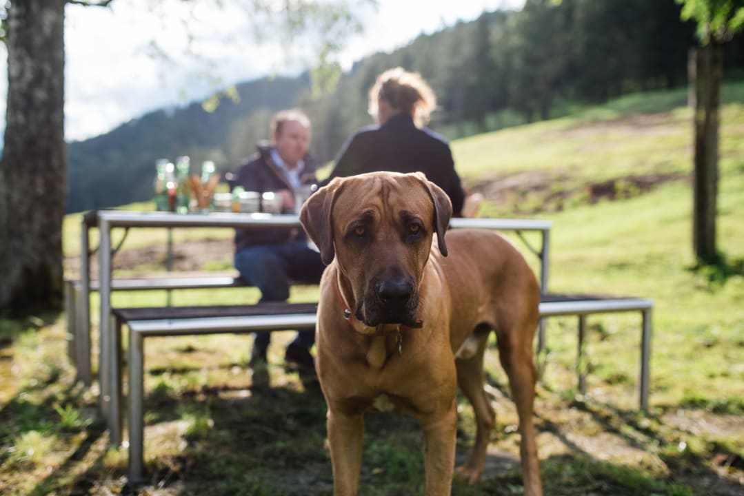 Gartenanlage Gut Theuretzbach