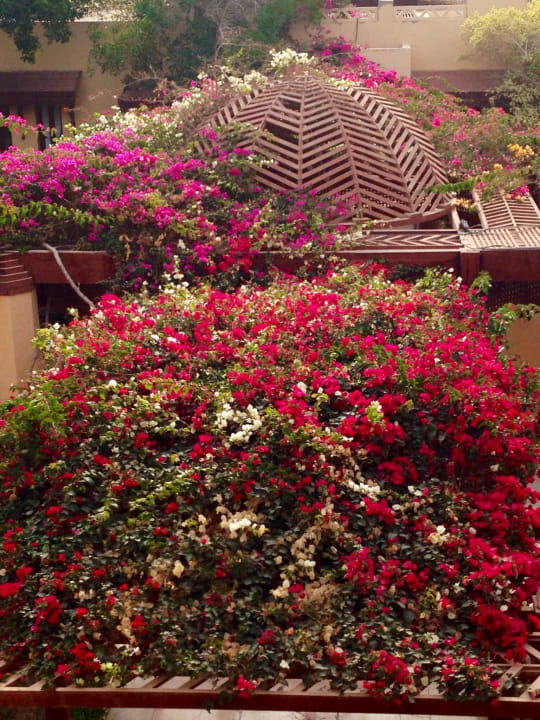 Resturant view  ROBINSON SOMA BAY