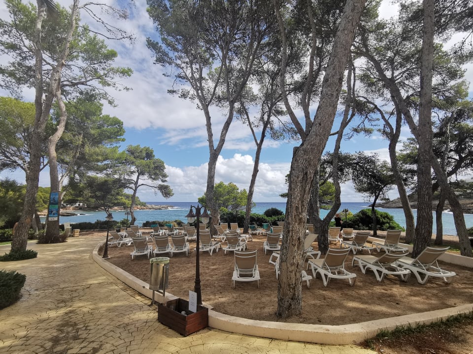 Ausblick Iberostar Waves Pinos Park