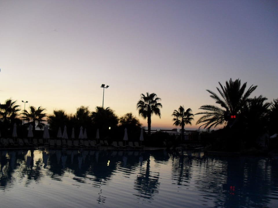 Pool Alba Resort Hotel