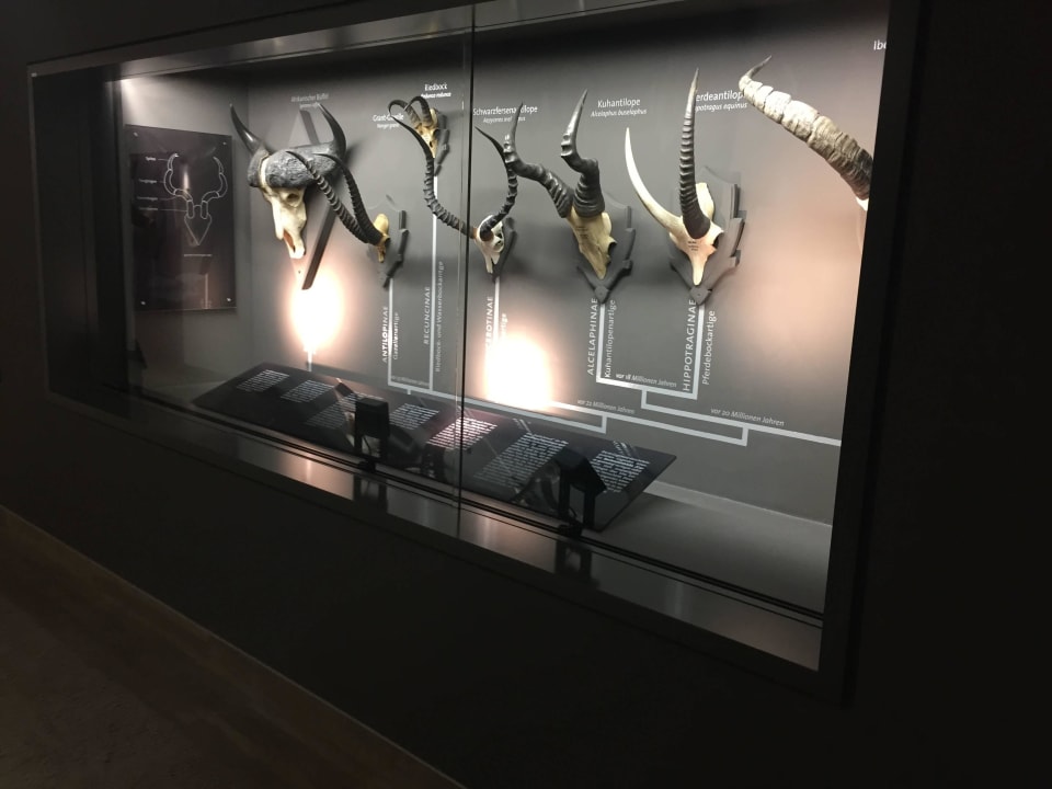 Auf der 'Afrika-Etage'...  Hotel Klostergut Jakobsberg