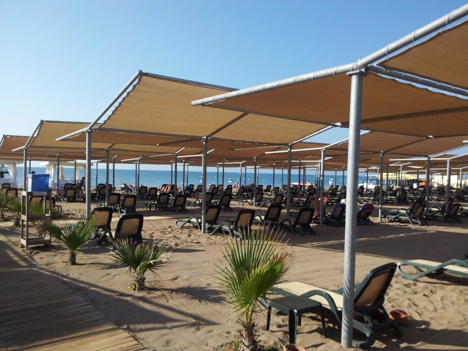 Strand Royal Wings Hotel