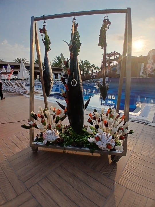 Gastro Quattro Beach Spa & Resort