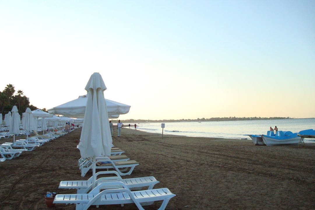 Morgens am Strand Arum Barut Collection