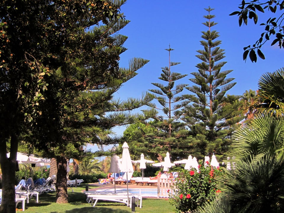 Gartenanlage Fuerte Conil-Resort