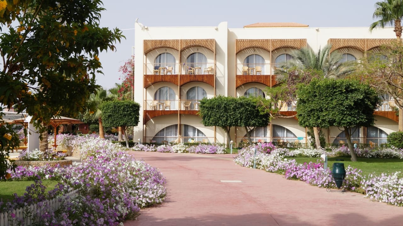 Außenansicht Desert Rose