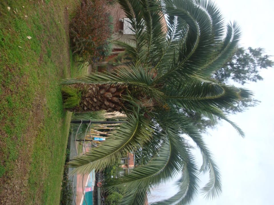 Hotel Limak Limra Limak Limra Hotel & Resort