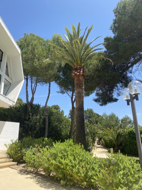 Gartenanlage Hotel Exagon Park