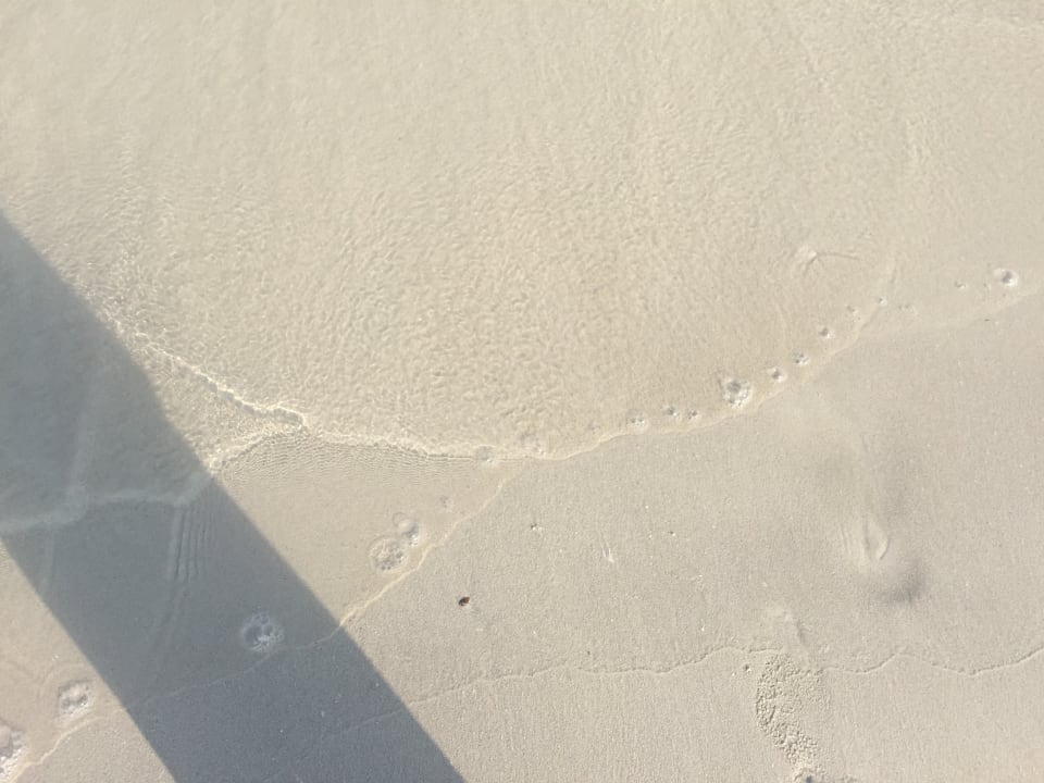 Sonstiges Salalah Rotana Resort