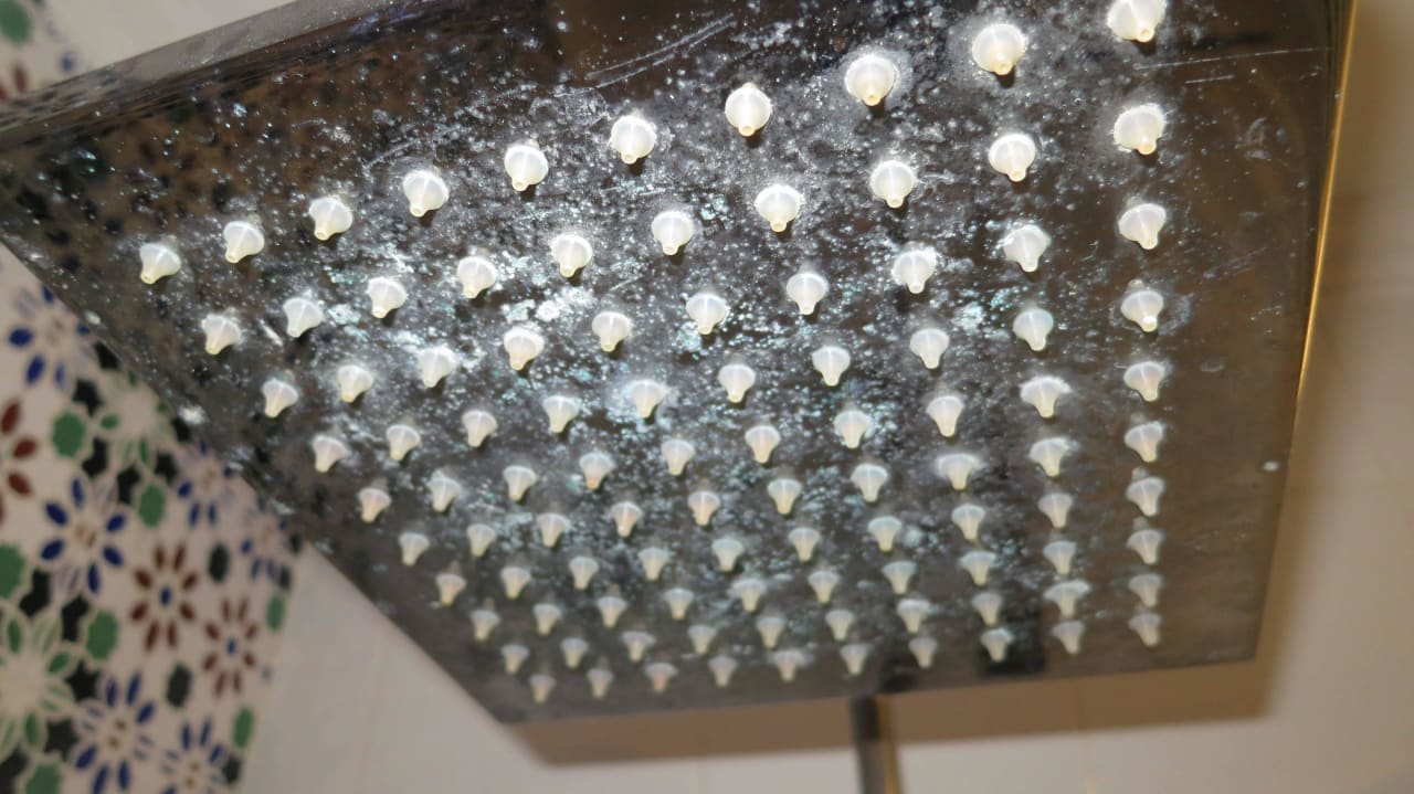 Duschkopf Stella Beach Resort & Spa Makadi Bay