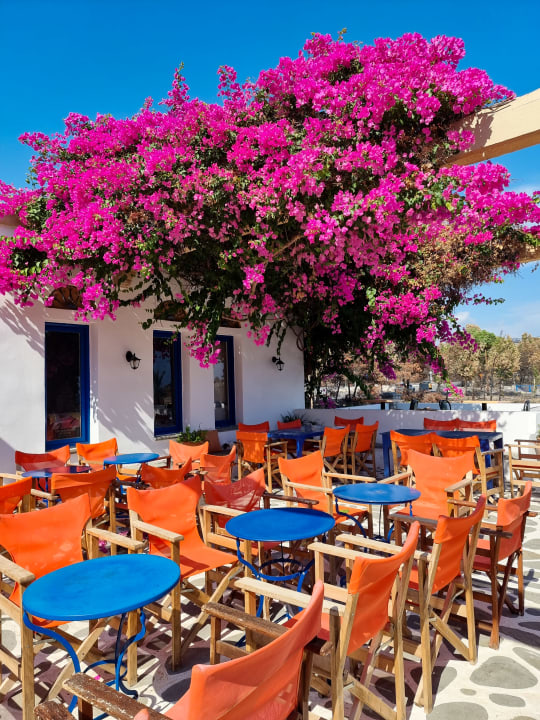 Gastro Ekaterini Hotel