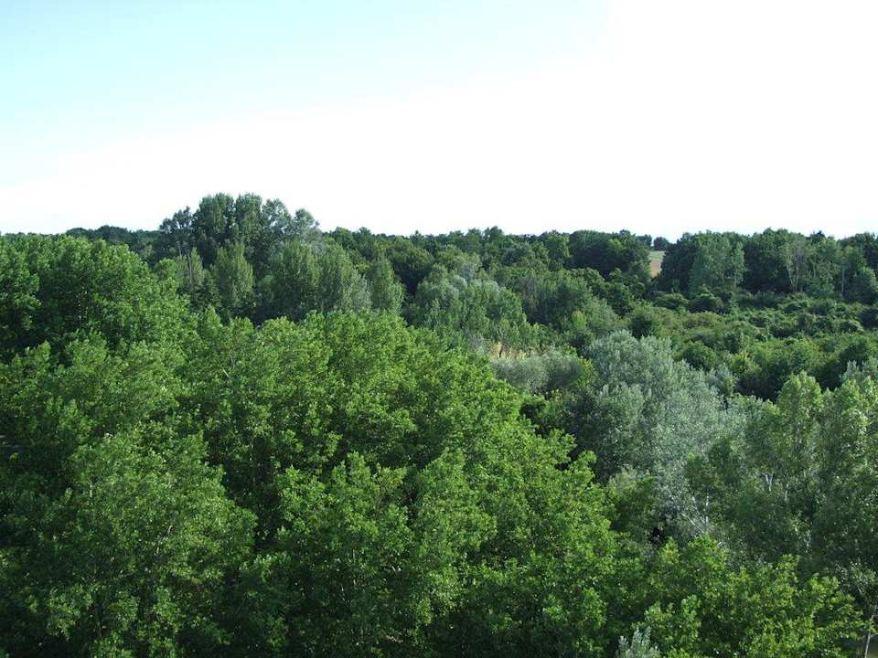 Kurpark Hotel Airo Wien