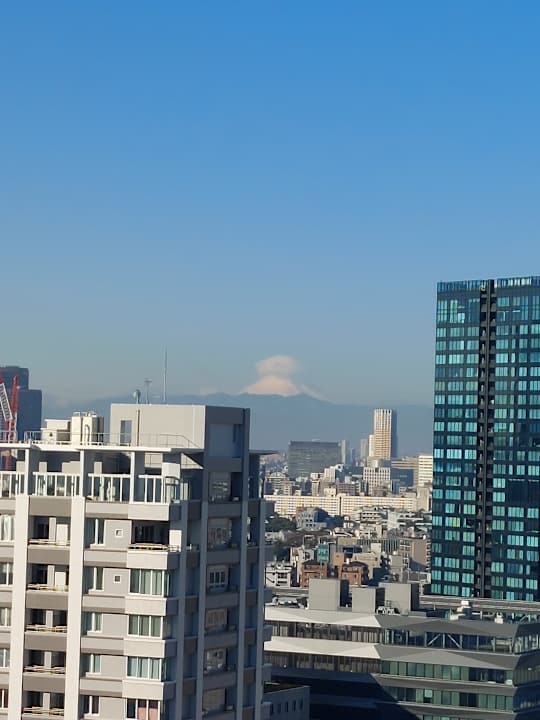 Ausblick Hotel Prince Park Tower Tokyo